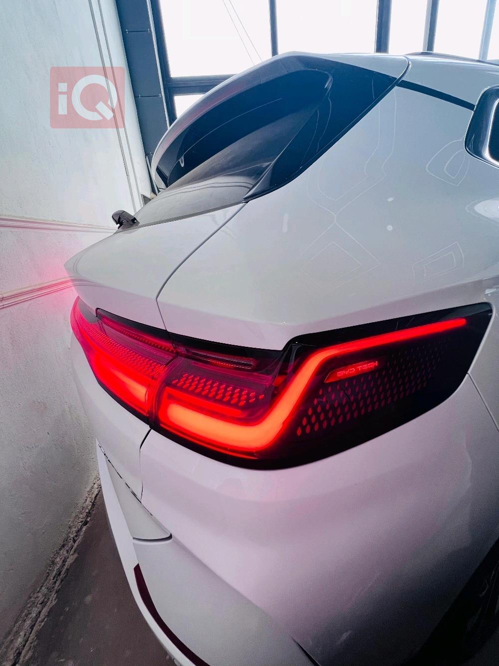 بي واي دي سونغ بلس